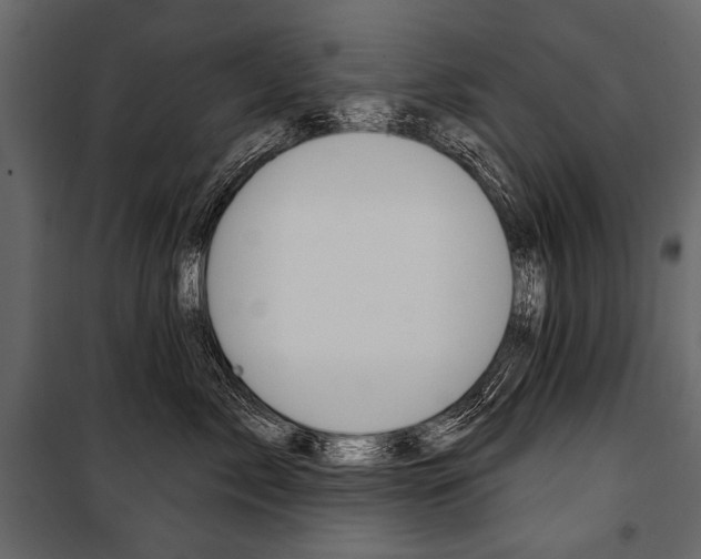 X0000100920717200806241113