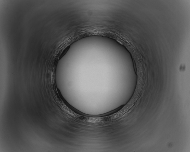 X0000100920720200806241113