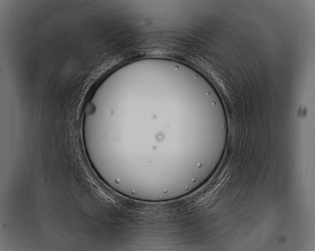 X0000100920721200806241112