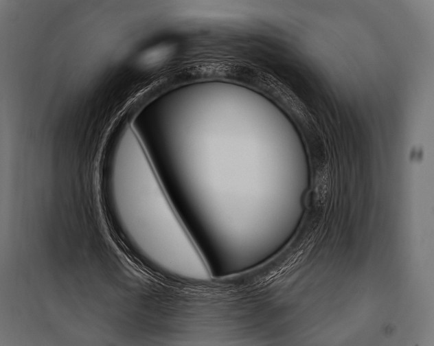 X0000100920722200806241112