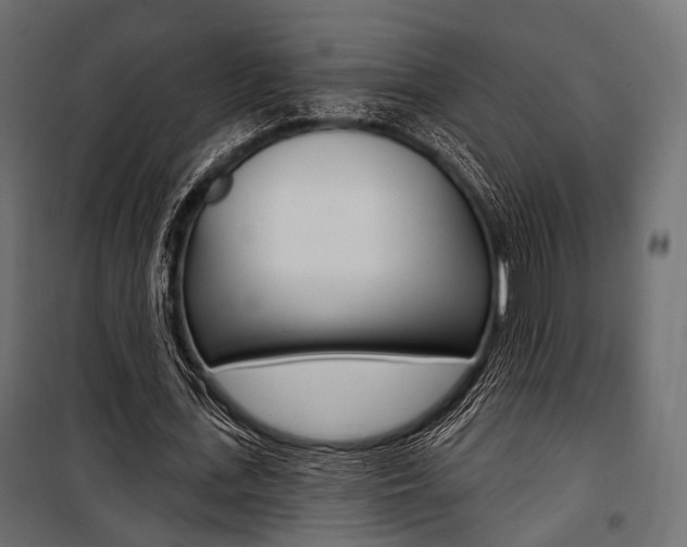 X0000100920723200806241112