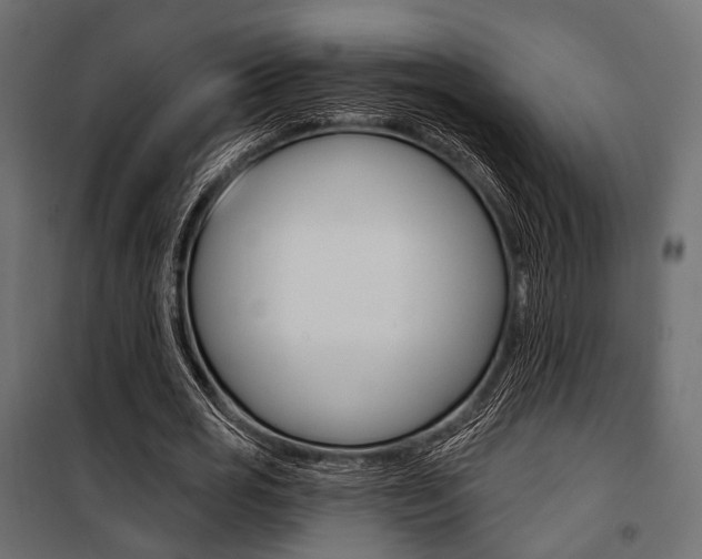 X0000100920725200806241112