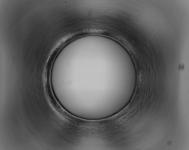 X0000100920726200806241112