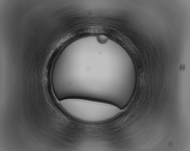 X0000100920727200806241112