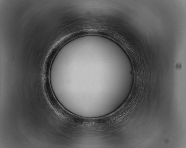 X0000100920728200806241112