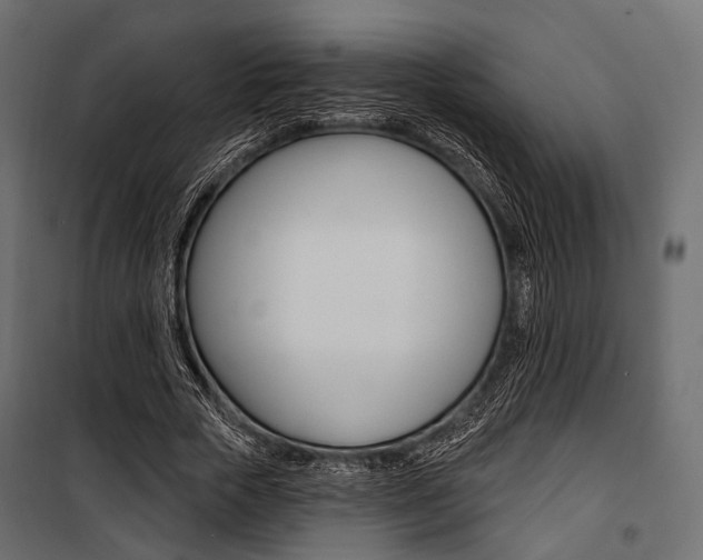 X0000100920729200806241112