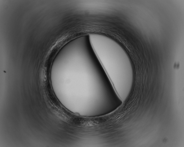 X0000100920731200806241112