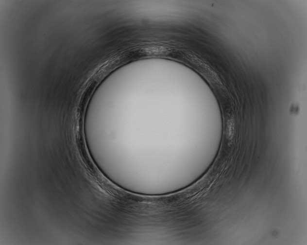 X0000100920733200806241112