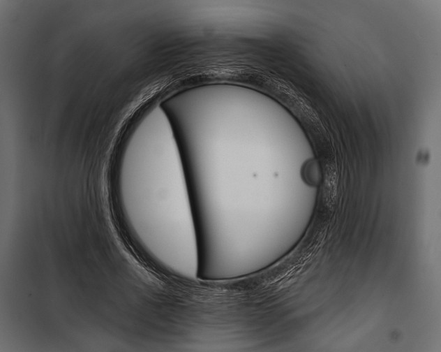 X0000100920734200806241112