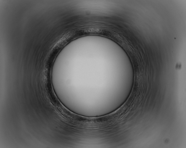 X0000100920735200806241112