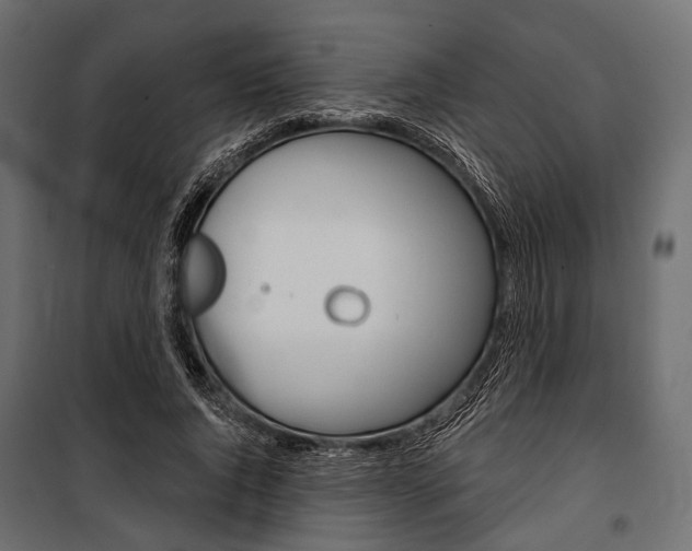 X0000100920736200806241112