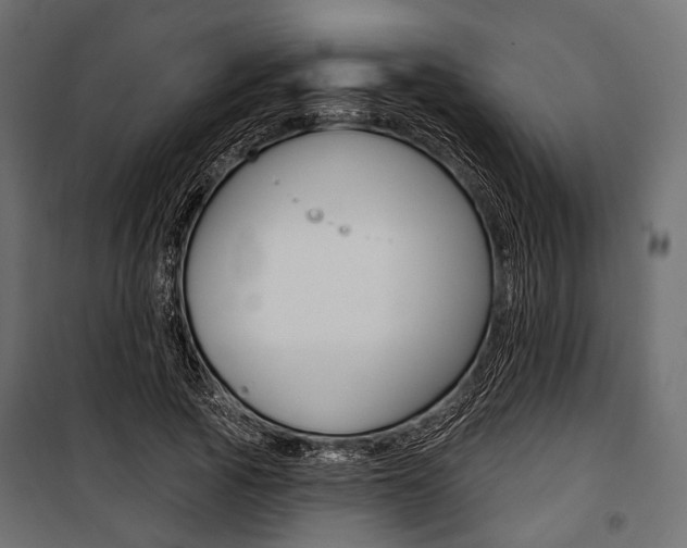 X0000100920737200806241112