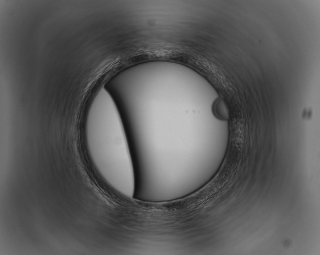 X0000100920738200806241112