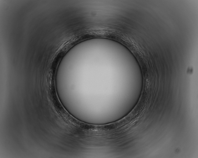 X0000100920739200806241112
