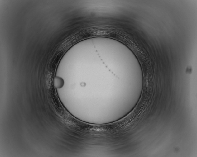 X0000100920741200806241112