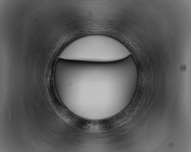 X0000100920742200806241112