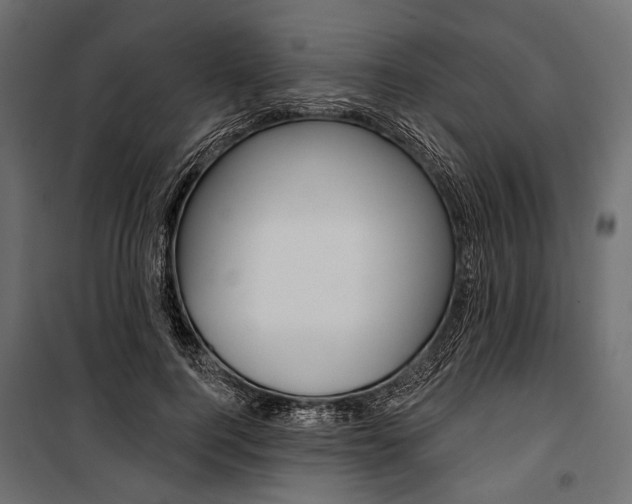 X0000100920744200806241113
