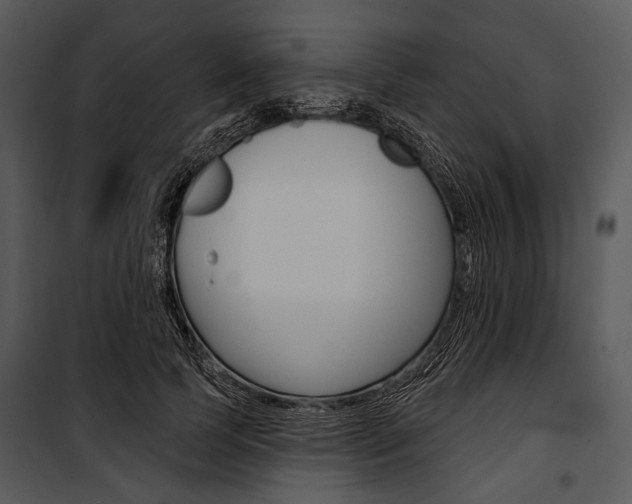 X0000100920745200806241113