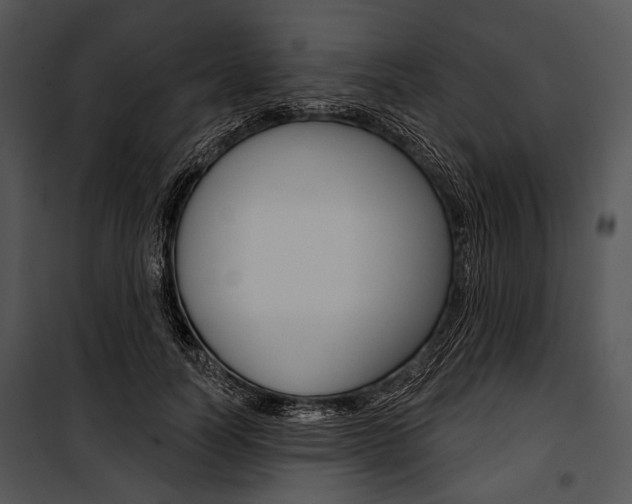 X0000100920746200806241113