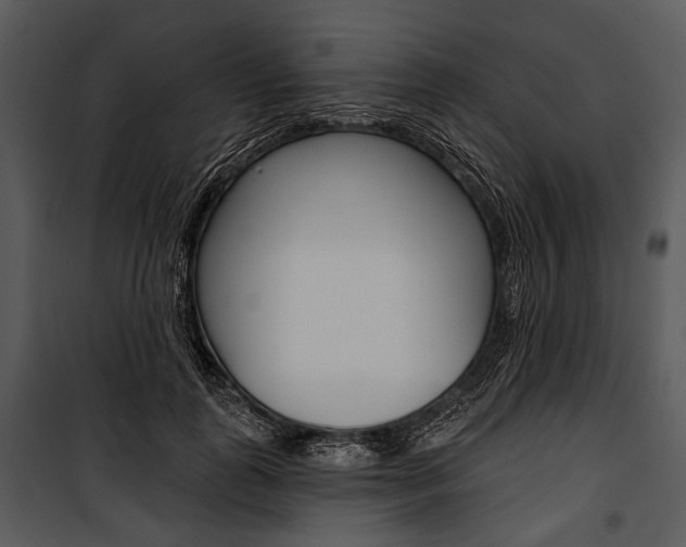 X0000100920747200806241113
