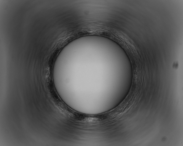 X0000100920748200806241113