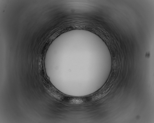 X0000100920749200806241113