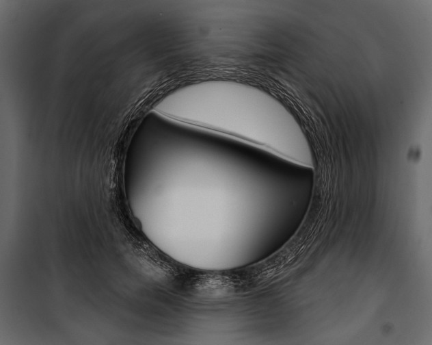 X0000100920750200806241113