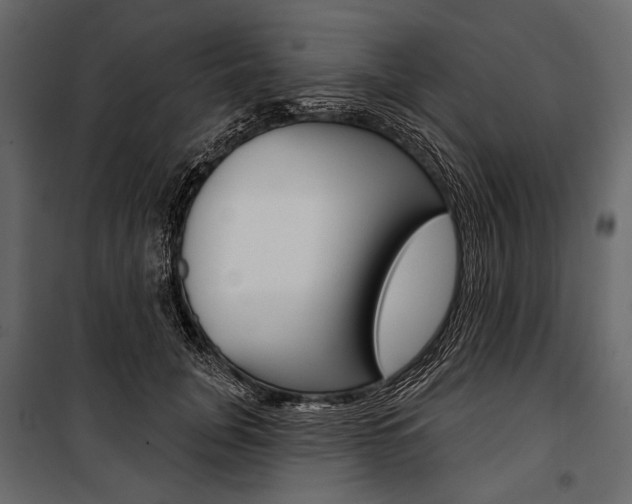 X0000100920751200806241113
