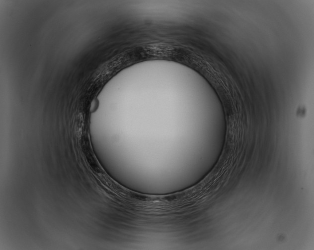 X0000100920752200806241113