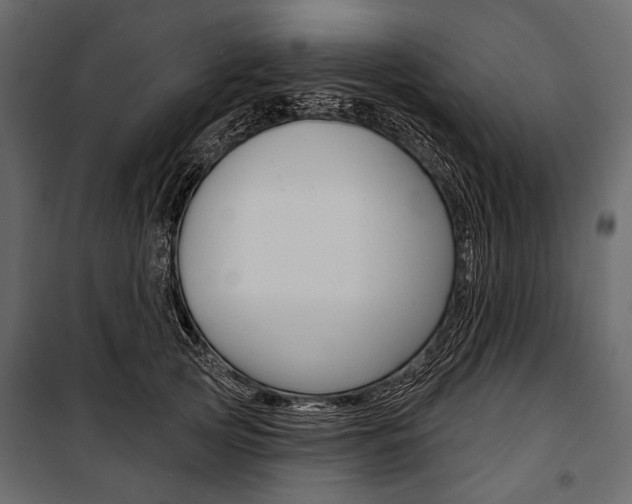 X0000100920753200806241113