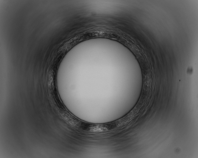 X0000100920754200806241113