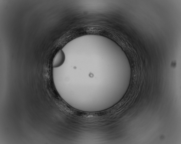 X0000100920755200806241113