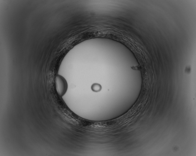 X0000100920756200806241113