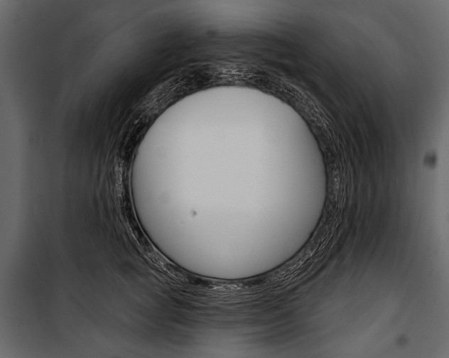 X0000100920757200806241113