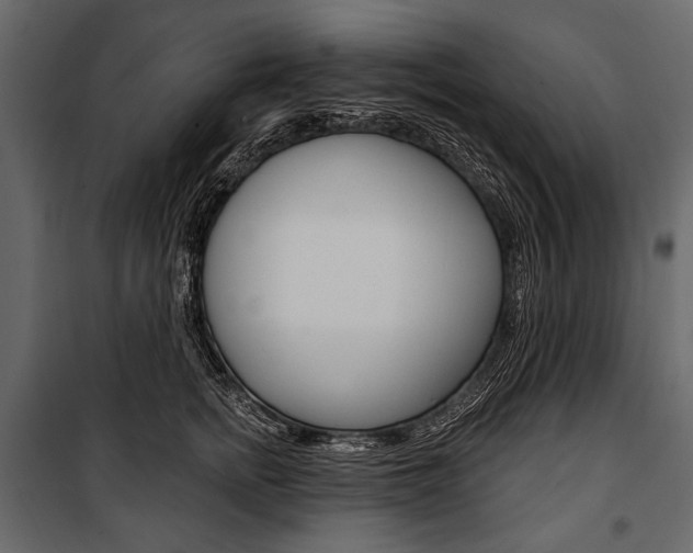 X0000100920758200806241113