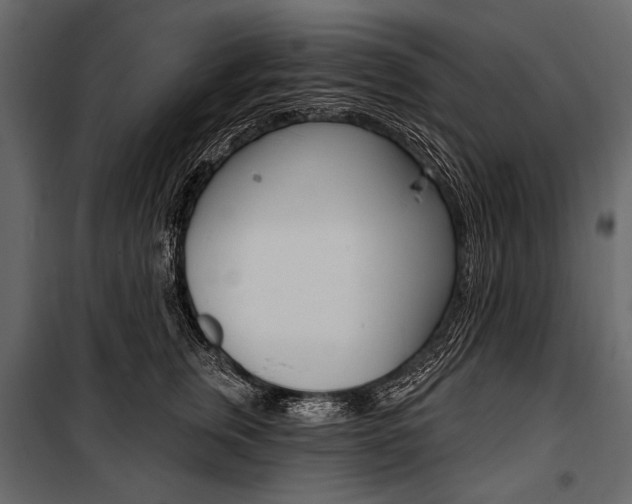 X0000100920759200806241113