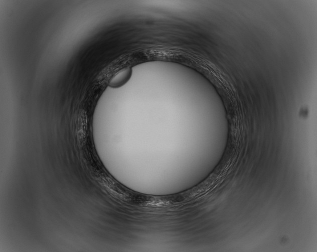 X0000100920760200806241113