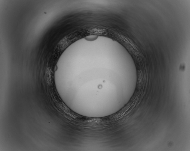 X0000100920761200806241113