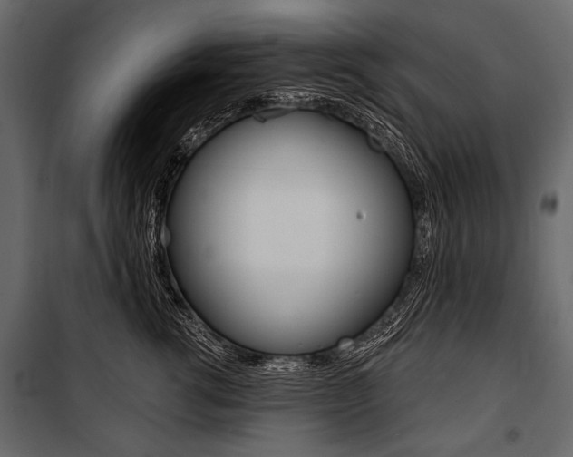 X0000100920762200806241113