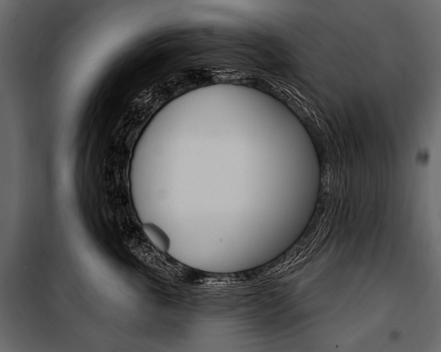 X0000100920763200806241113