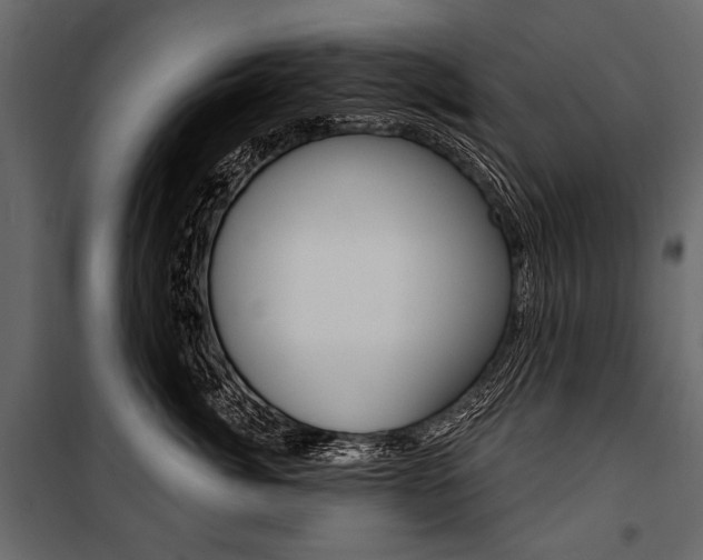 X0000100920764200806241113