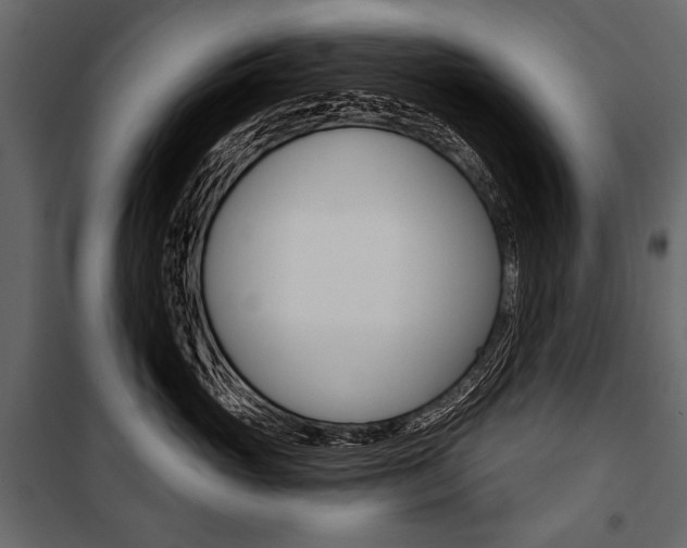 X0000100920765200806241113