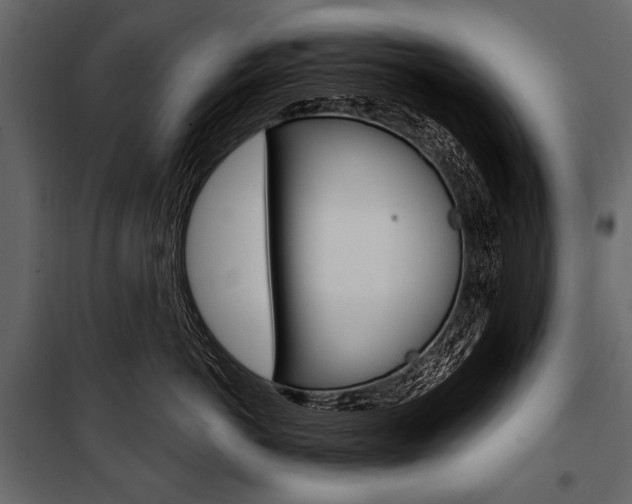 X0000100920766200806241113