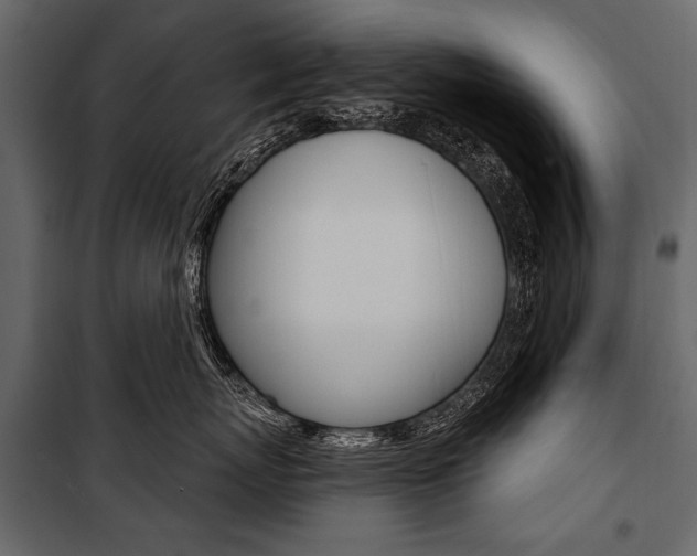 X0000100920767200806241113