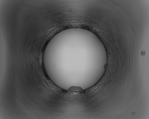 X0000100920768200806241113