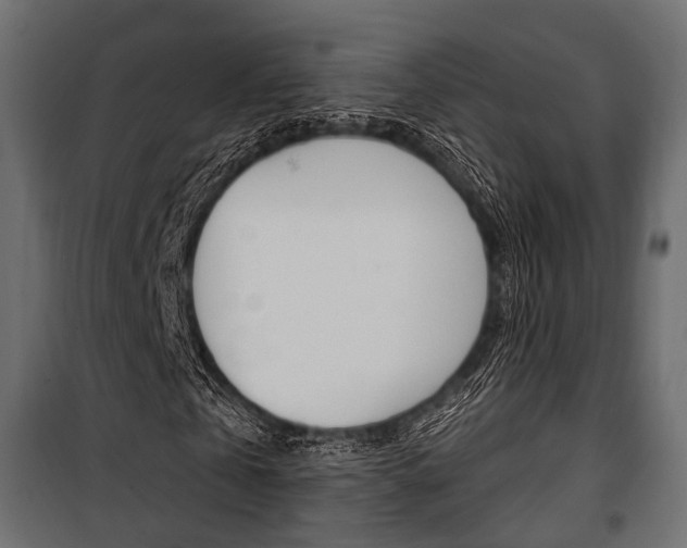 X0000100920769200806241112