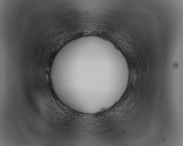 X0000100920770200806241112