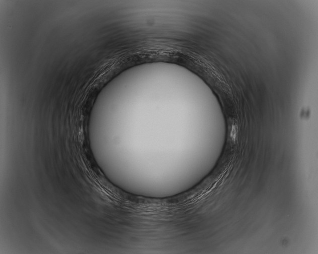 X0000100920771200806241112