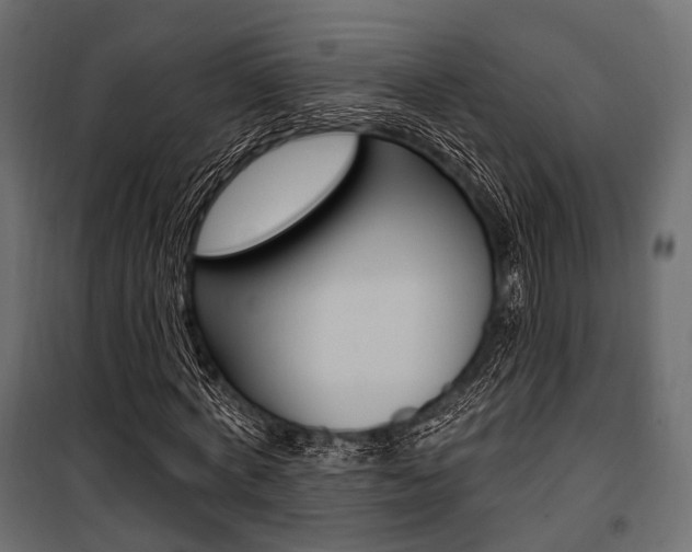 X0000100920772200806241112