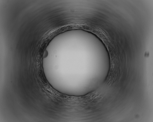 X0000100920773200806241112